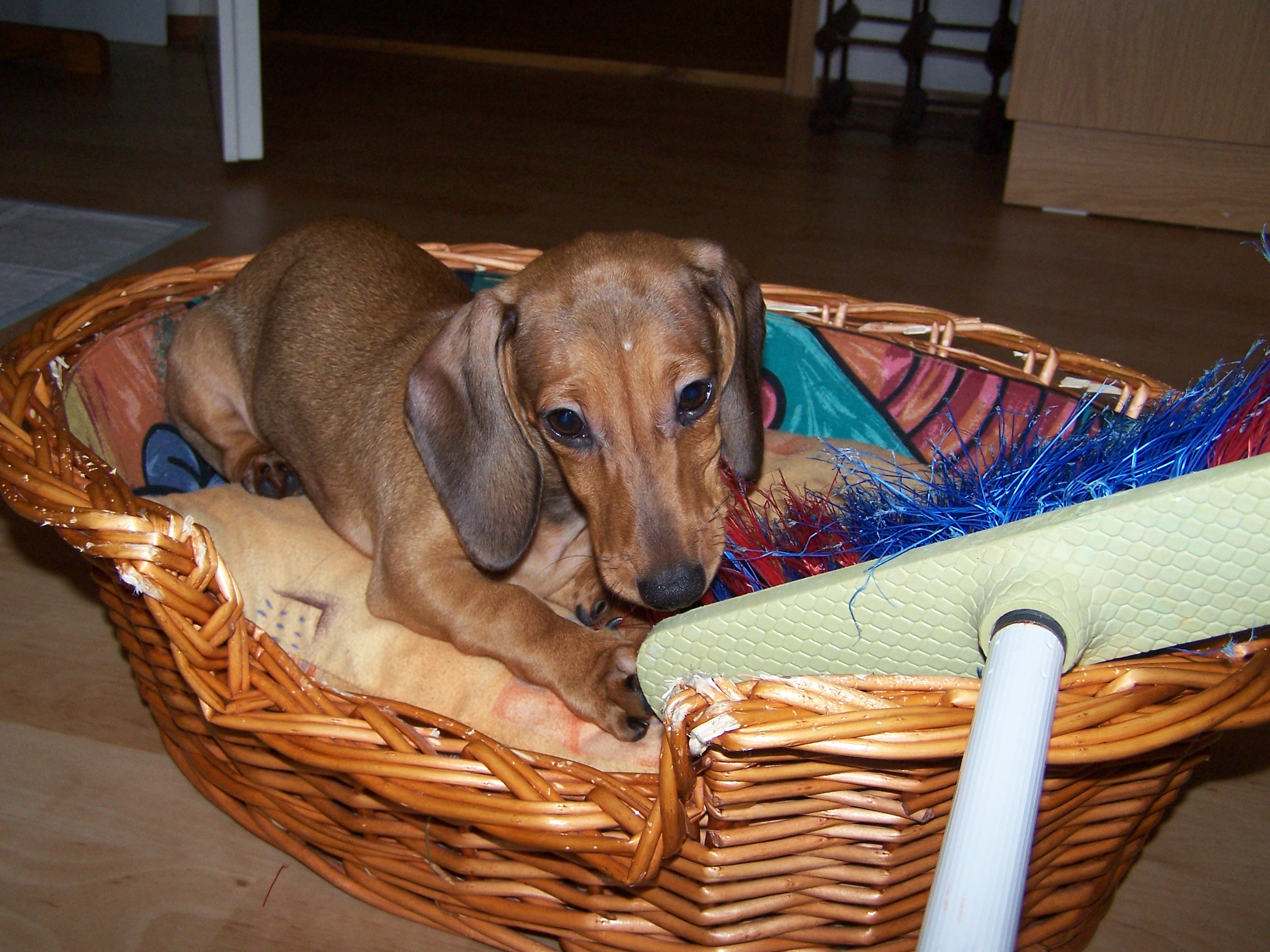 Snímek 069.jpg