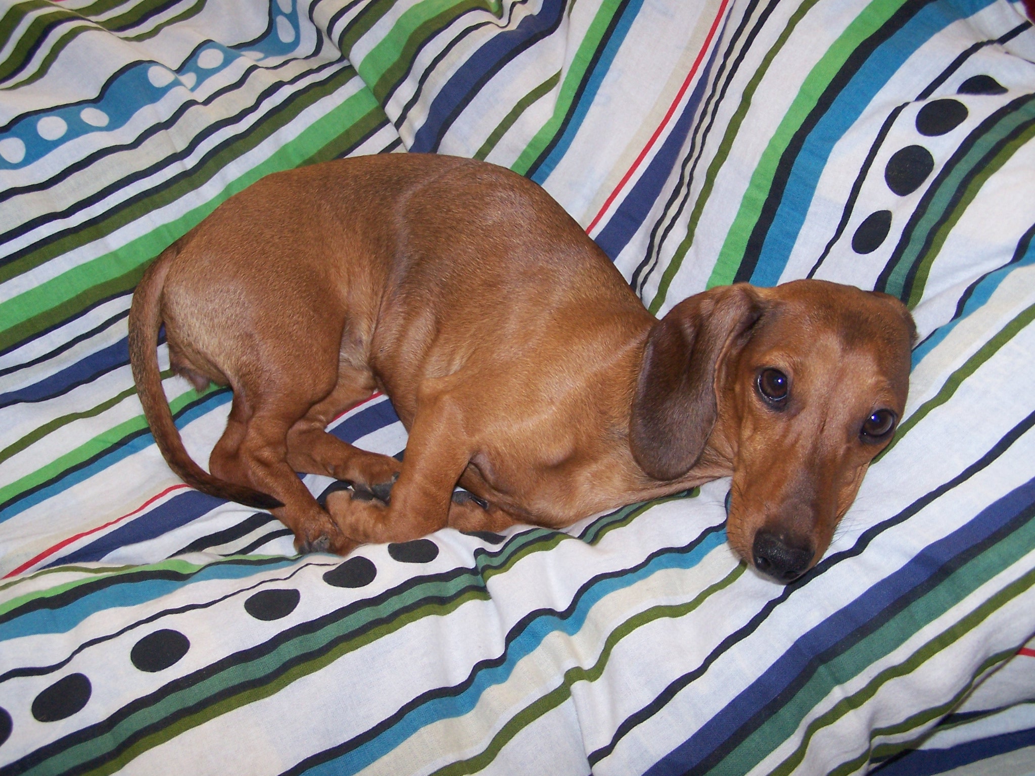 Snímek 079.jpg