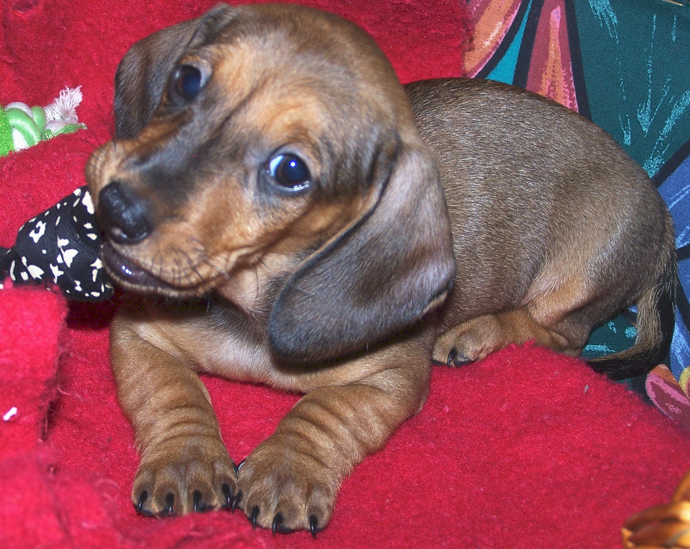 Snímek 084.jpg
